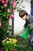 Watering Can | NI Water News